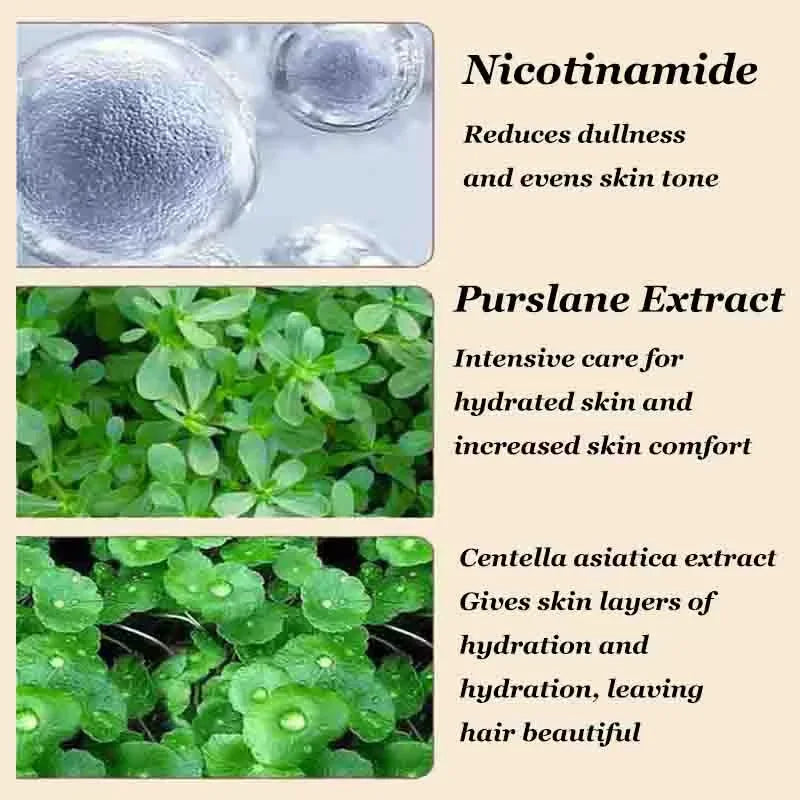 S05ff5adfed8840738a3cc0071f743f7ek